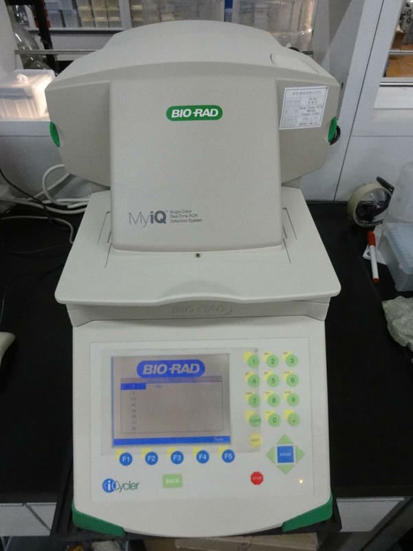 pcr-tempo-real_0.jpg