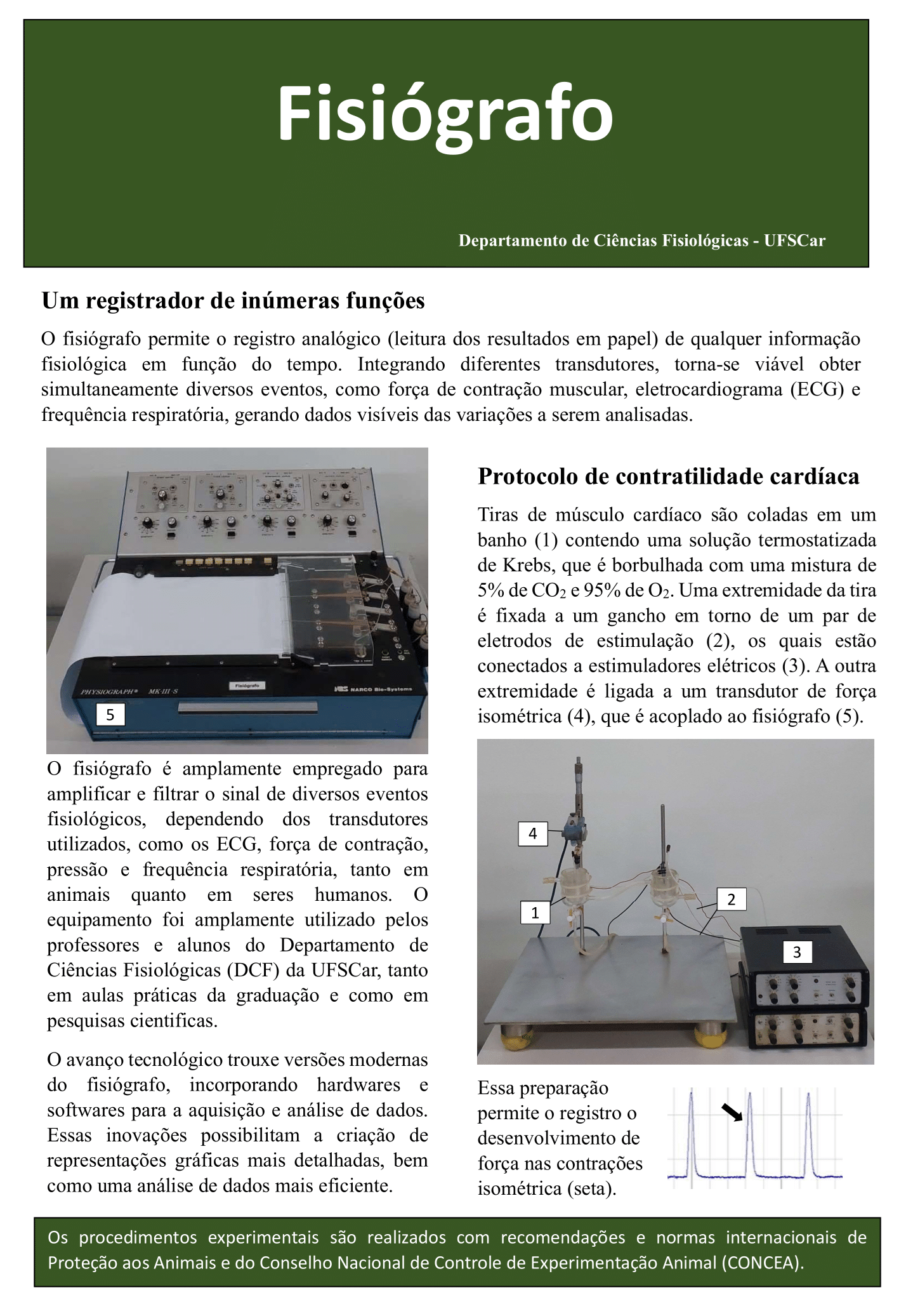 Fisiógrafo-1.png