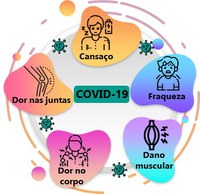 Convite de voluntários para participar da pesquisa sobre o efeito da COVID-19 no músculo esquelético